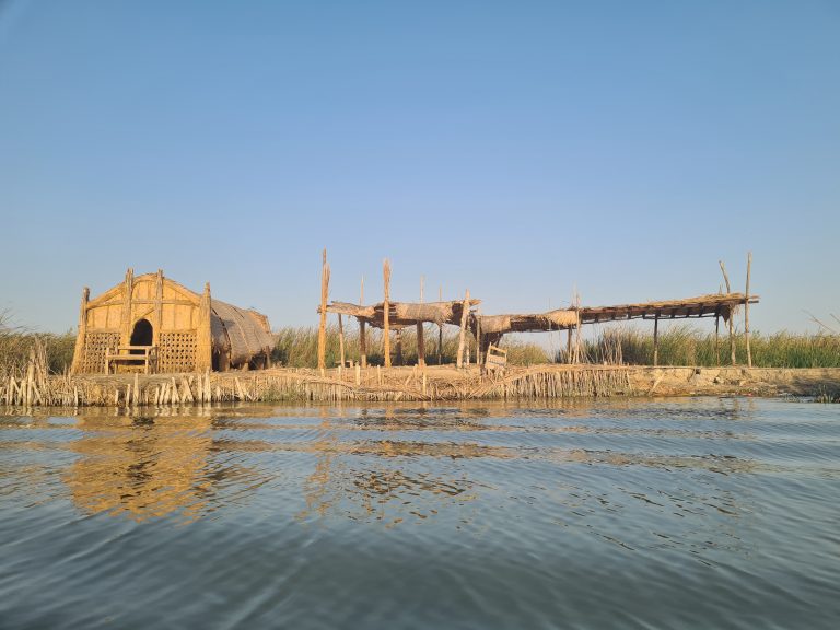 iraq marshes